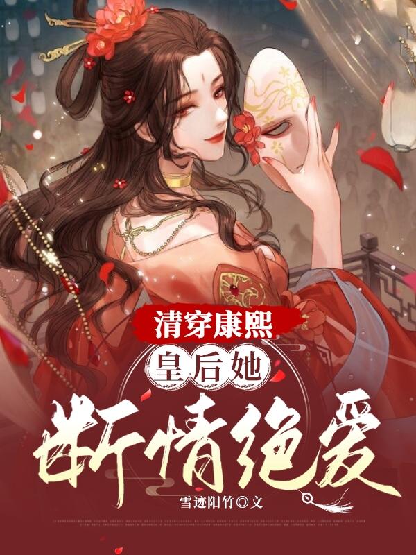 清穿康熙晚年妃子的小说