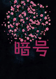 暗号大全简单实用